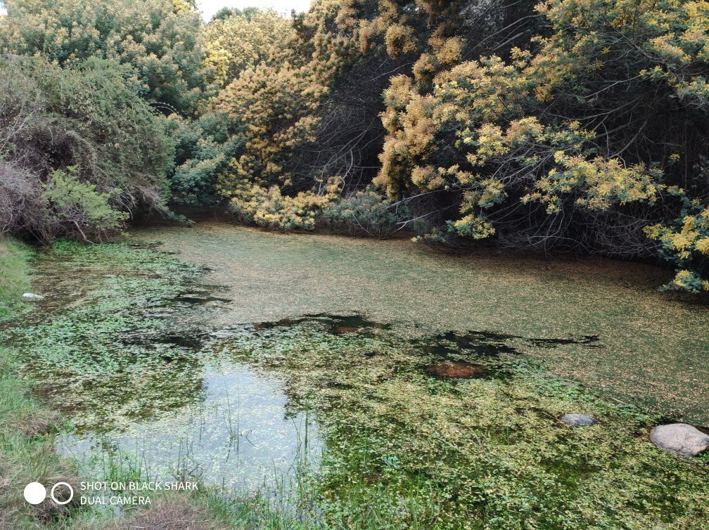 Quebrada de Cordoba-El Tabo必去景点