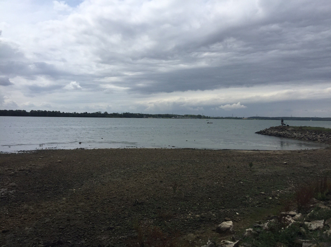 Grafham Water Park景点图片