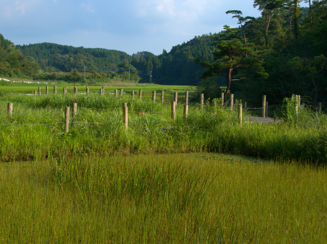 Kashibaru Bog-唐津市必去景点