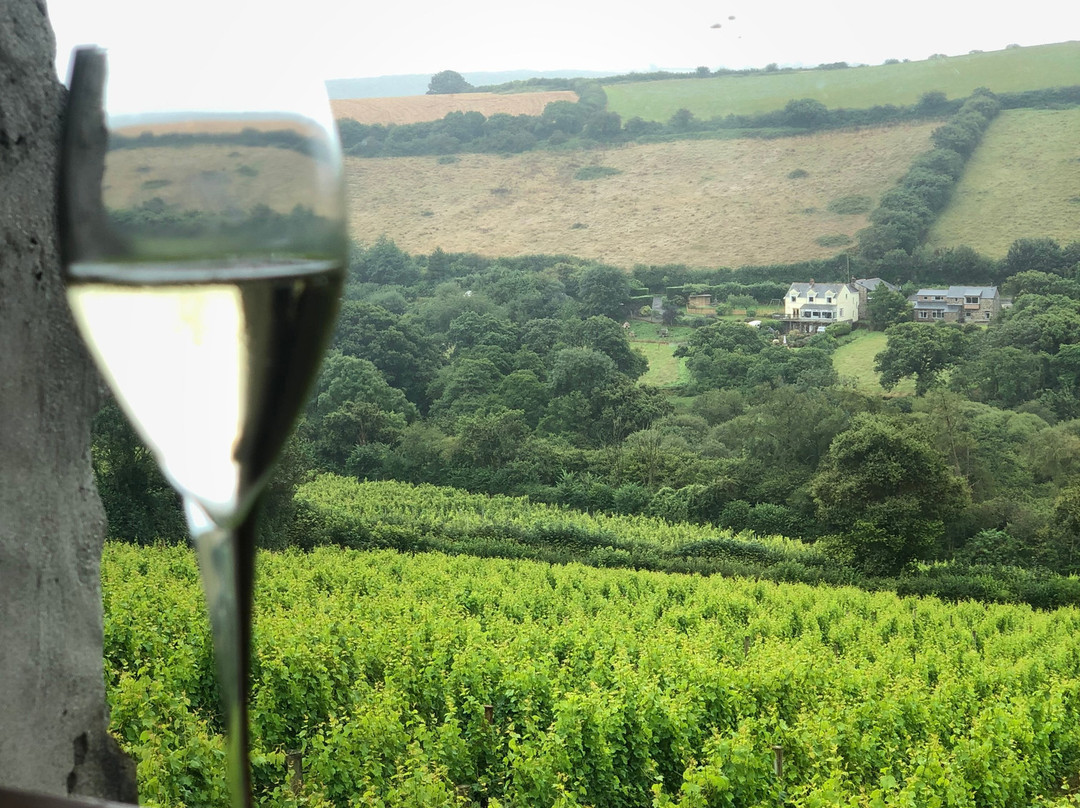 Cornish Wine Tasting-帕兹托必去景点