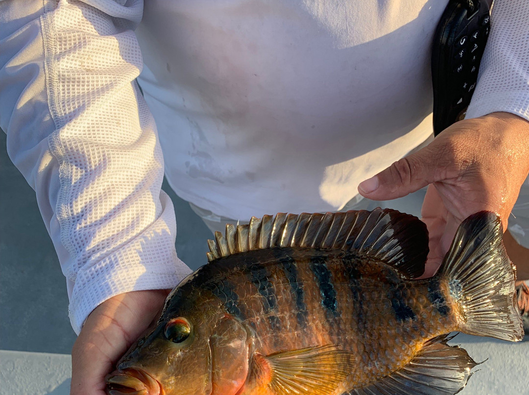 Markham Park & Target Range-森赖斯必去景点