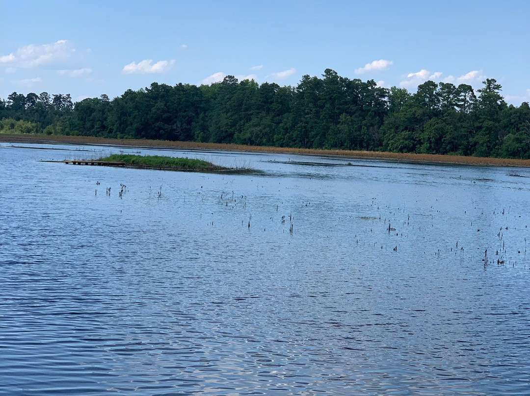 Little Pee Dee State Park景点图片