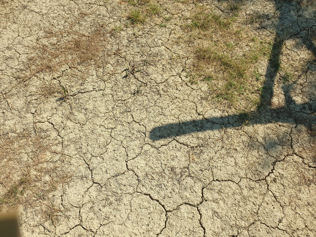 海湾套房酒店主图