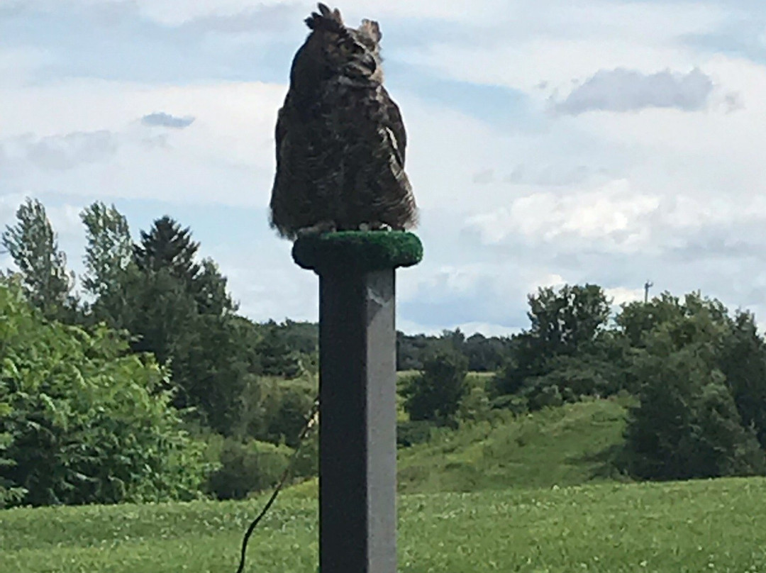 Chouette a voir!-Saint-Jude必去景点