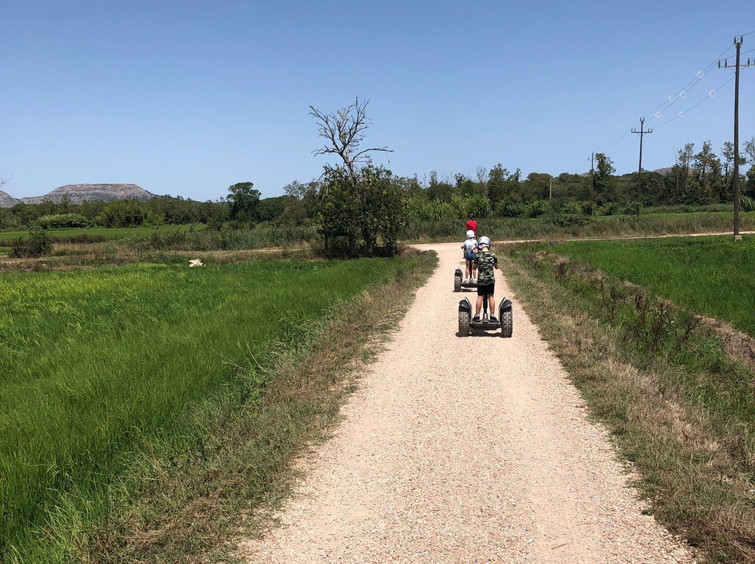 Livetour Segway景点图片