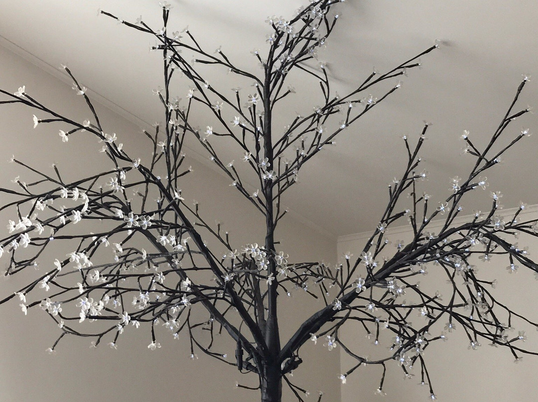 "Family Lab" Apart-Hotel主图