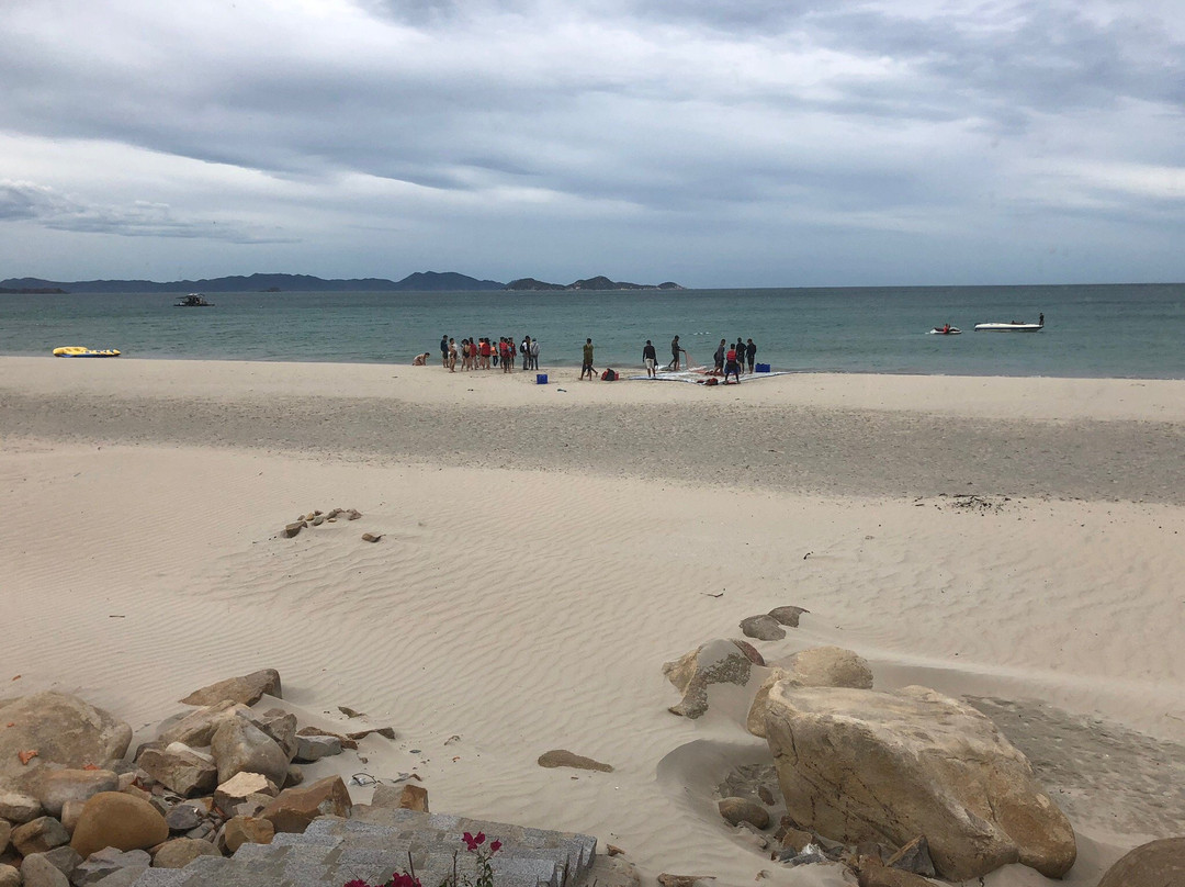 野生海滩度假村主图