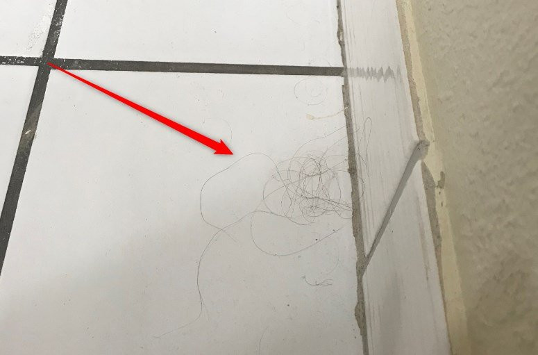 Comfort Inn Charleston, WV主图