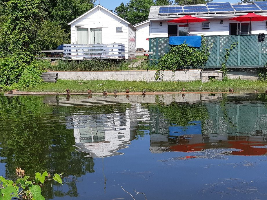 Hollywood Cottages主图