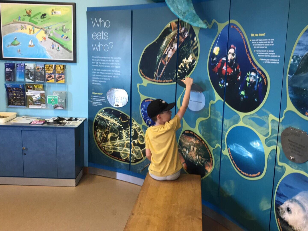 Wembury Marine Centre-Wembury必去景点