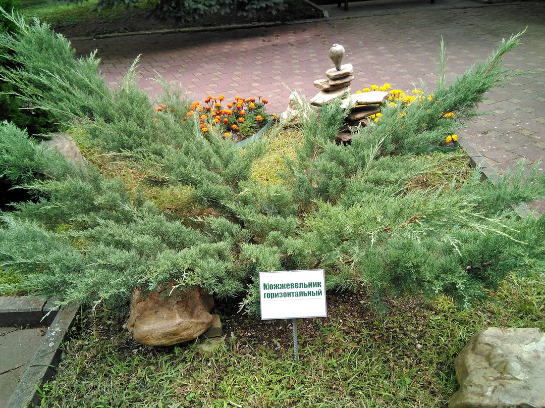 Pension Yuzhny主图