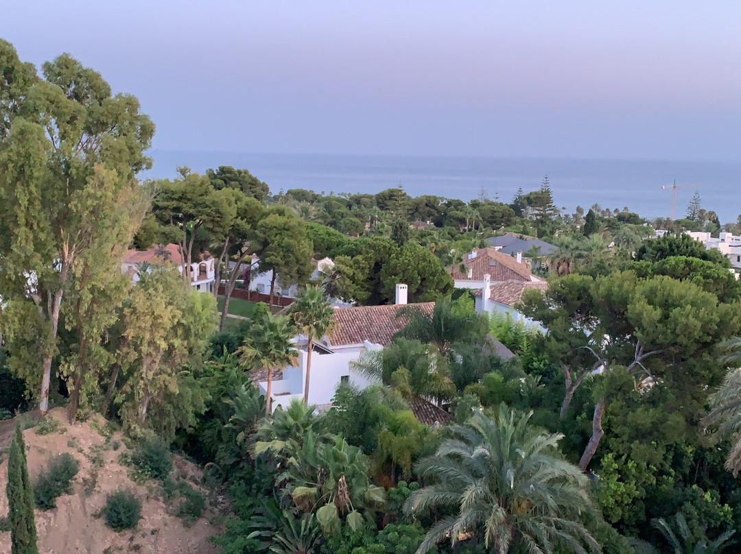 Hotel Los Monteros主图