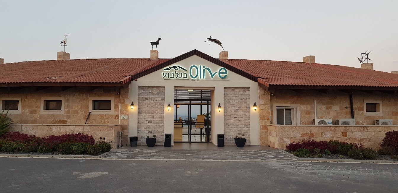 Olive Gilboa Mountain-官方