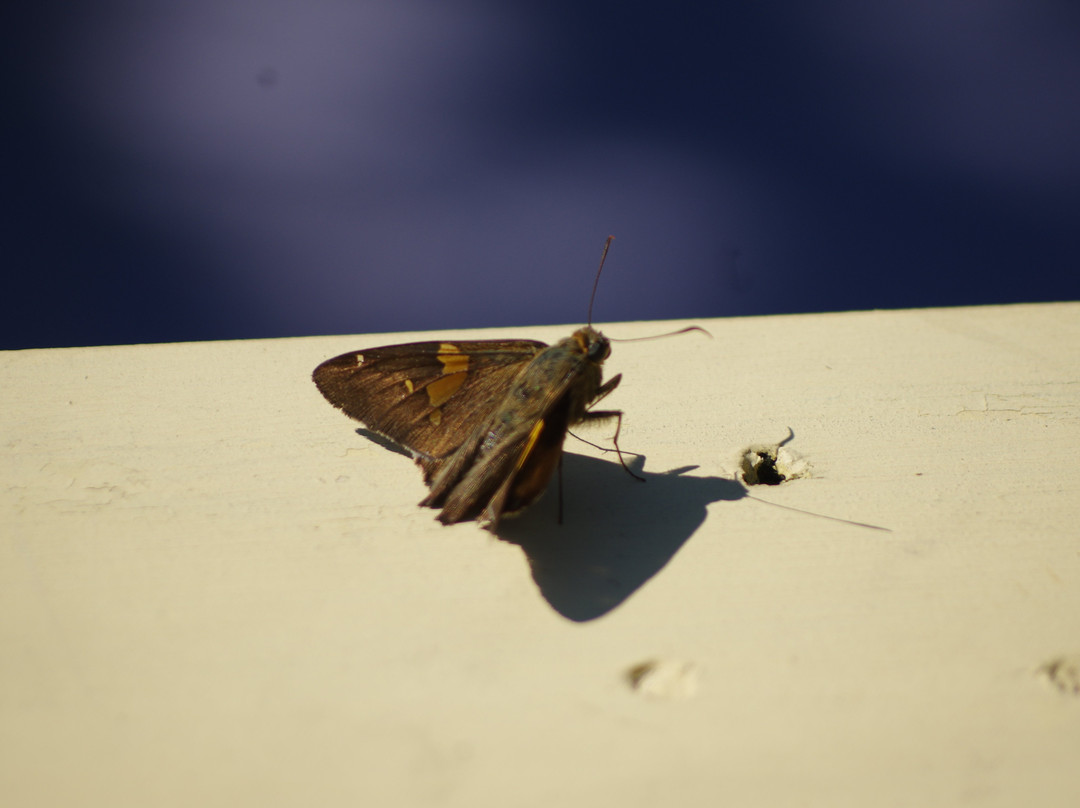 The Gardens at Matter Park-Marion必去景点