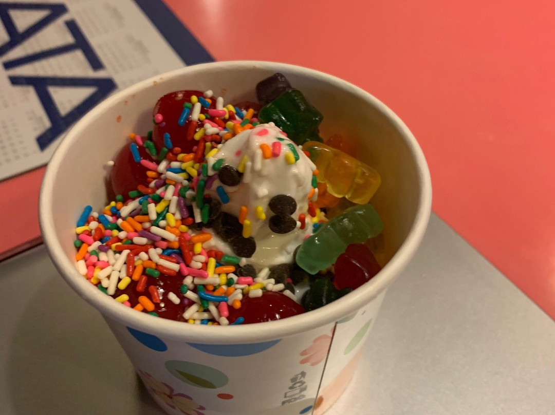 Martin餐馆和美食-Daydream Yogurt