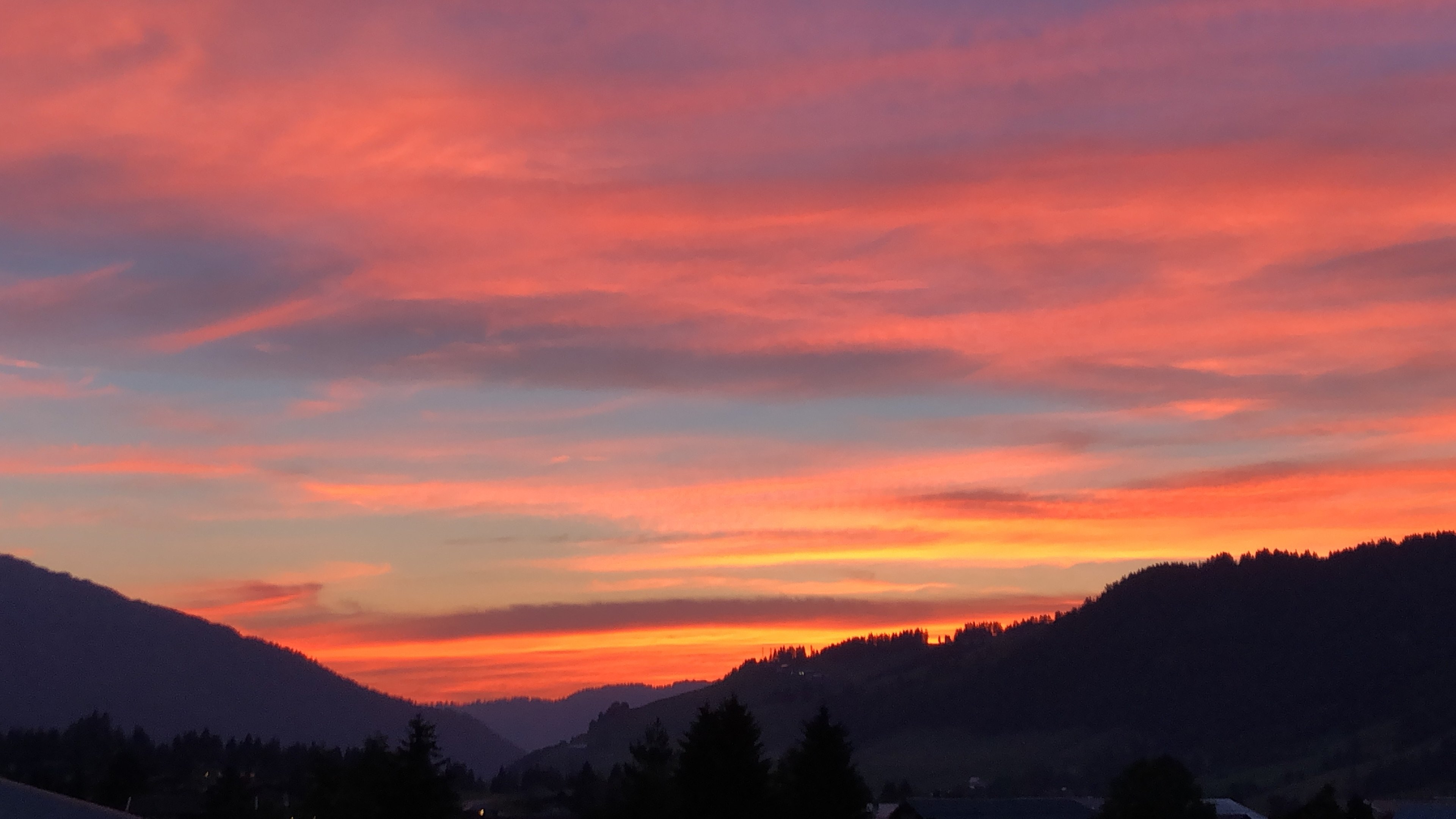 Gasthof Enzian-酒店景观