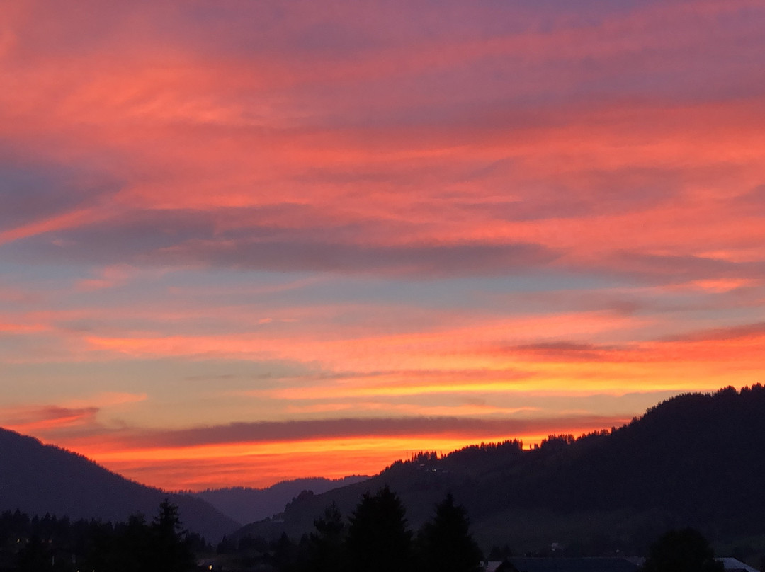 Gasthof Enzian主图