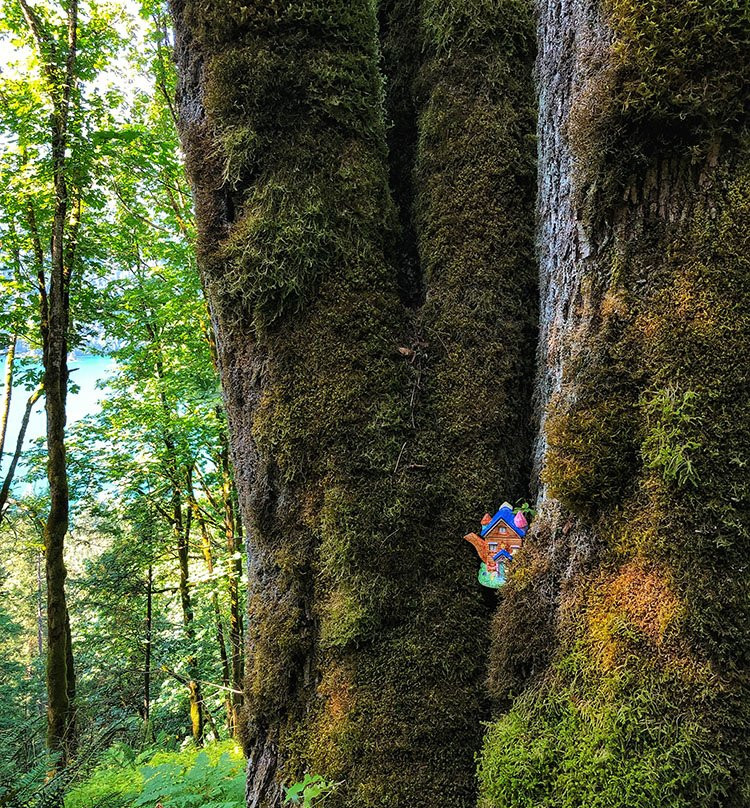 Teapot Hill-Cultus Lake必去景点