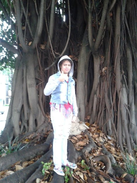 Parque Rafael Lazzuri-圣贝尔纳多-杜坎普必去景点