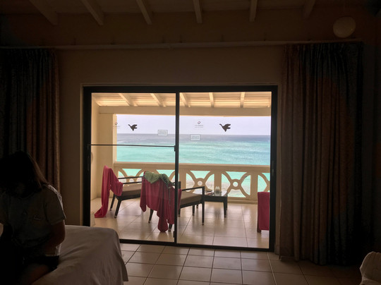 Starfish Discovery Bay