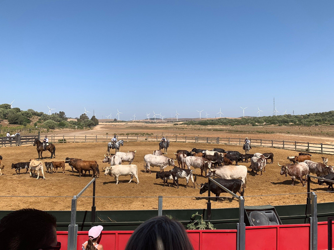 A Campo Abierto景点图片