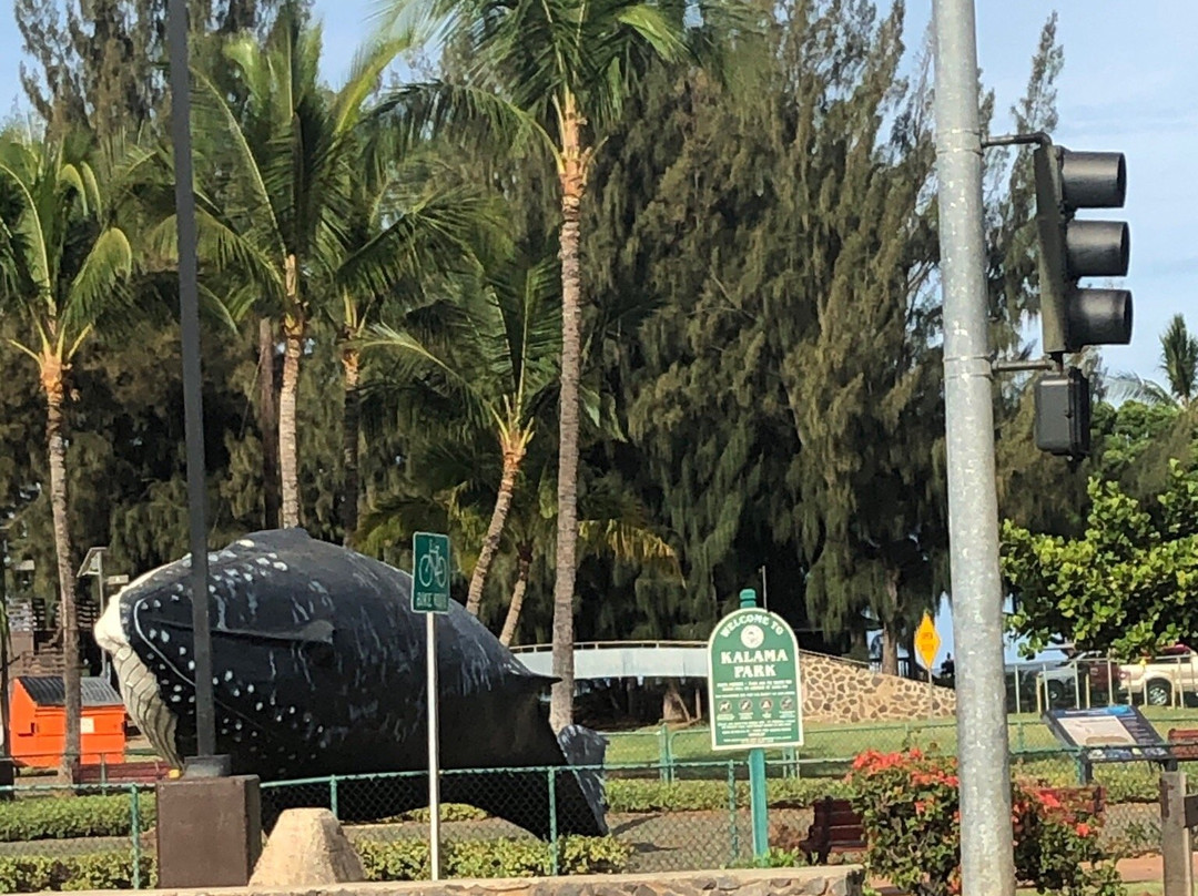Kalama Park-基黑必去景点