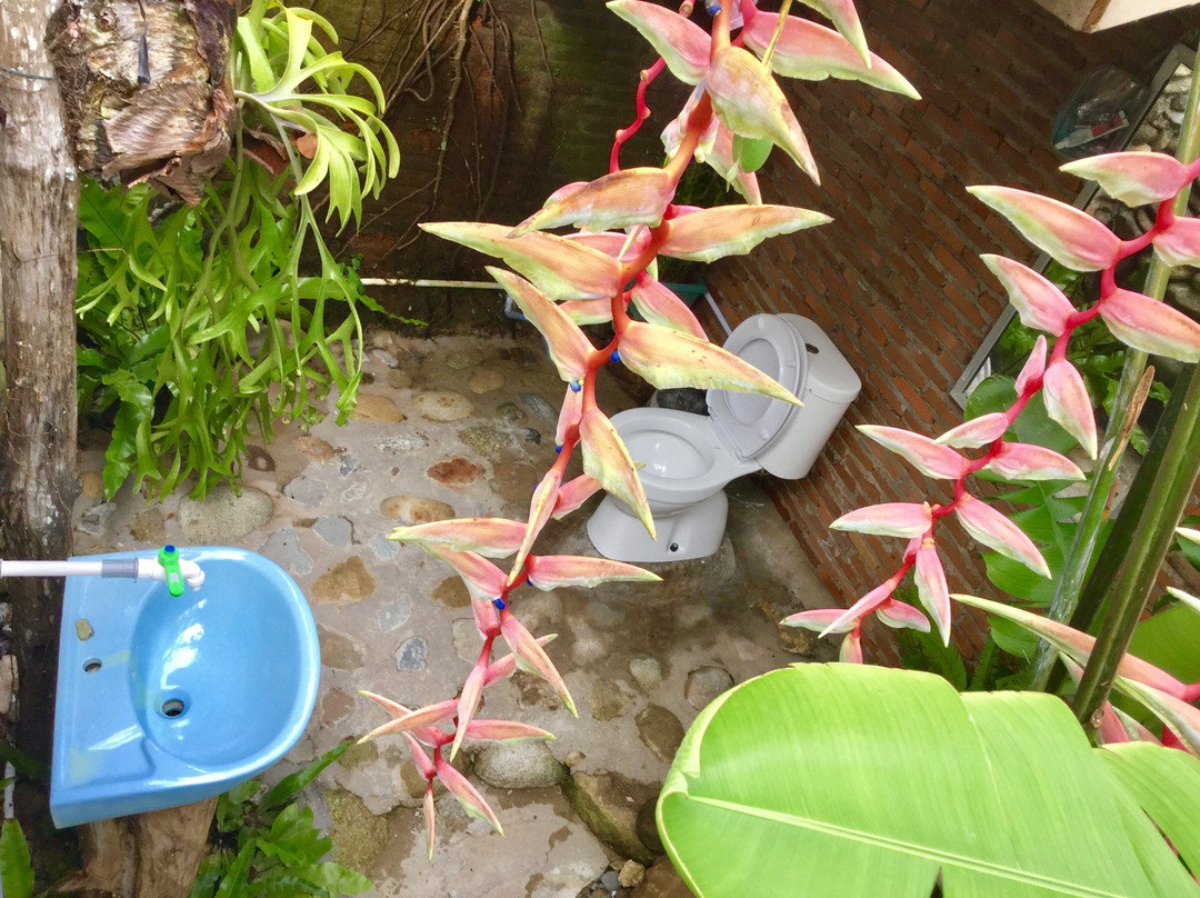 Thousand Hills Ketambe主图