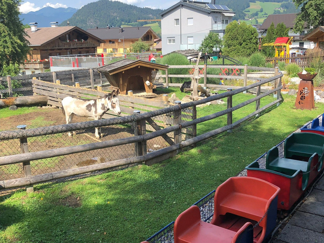 Alpbachtaler Kinderpark景点图片