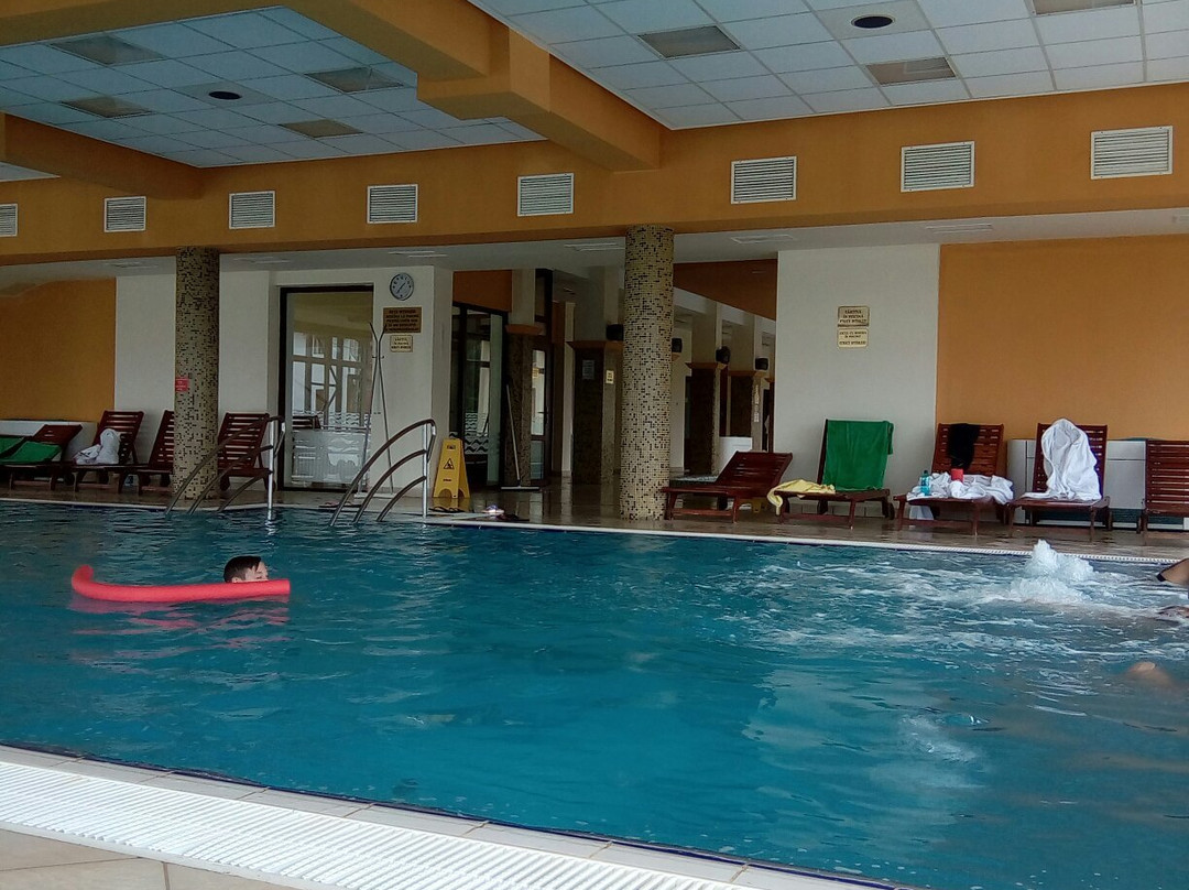 Germisara Hotel Resort & Spa主图