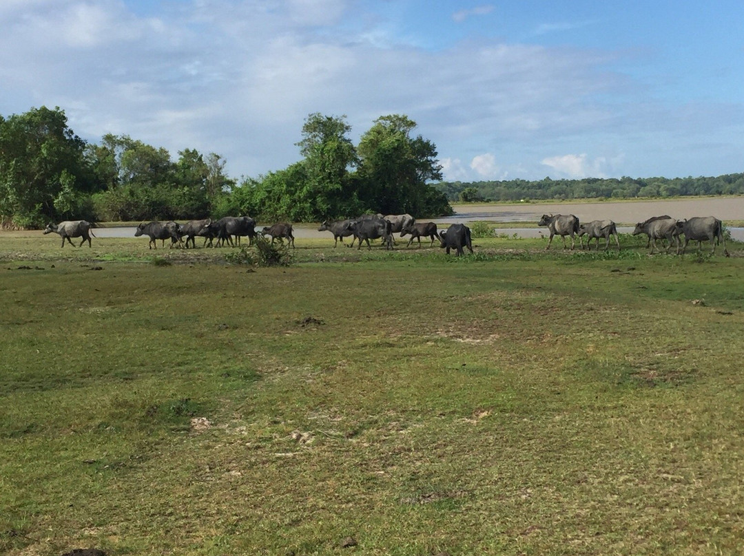 Bom Jesus Farm-Soure必去景点