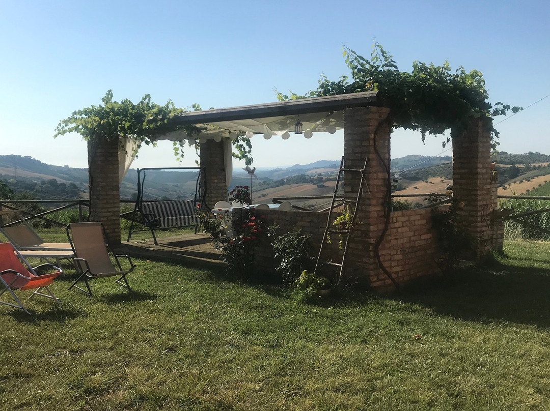 B&B Il Fosso del Gallo主图