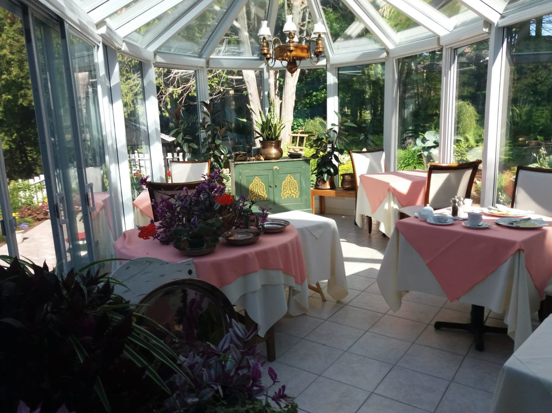 Gite Ancestral主图