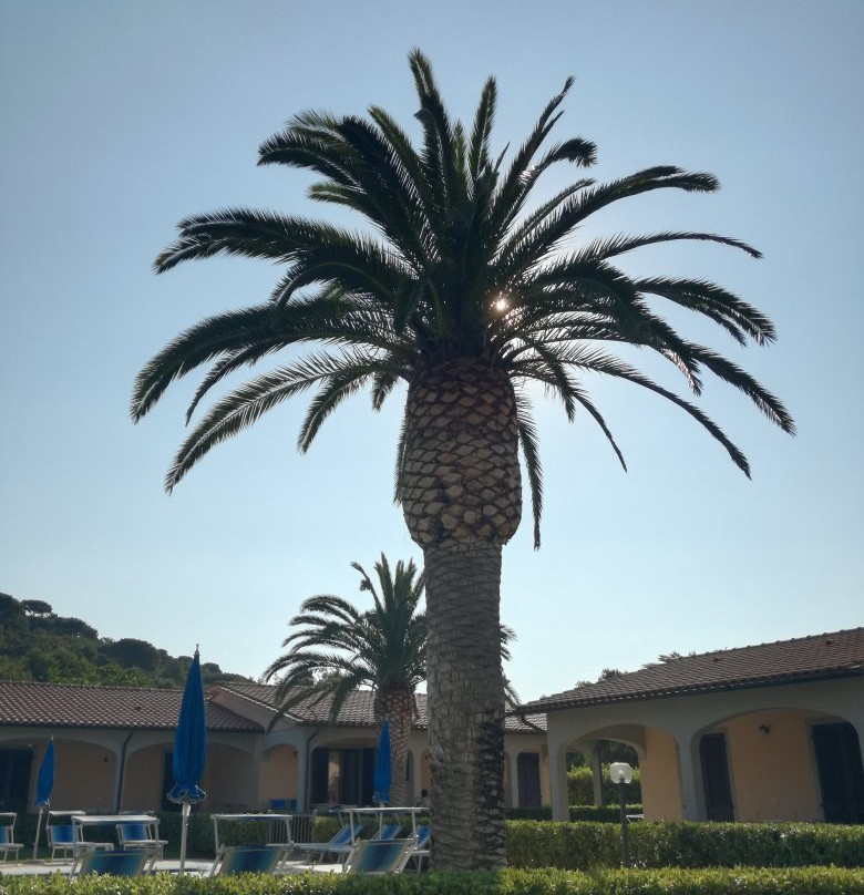 Residence Lido Azzurro主图