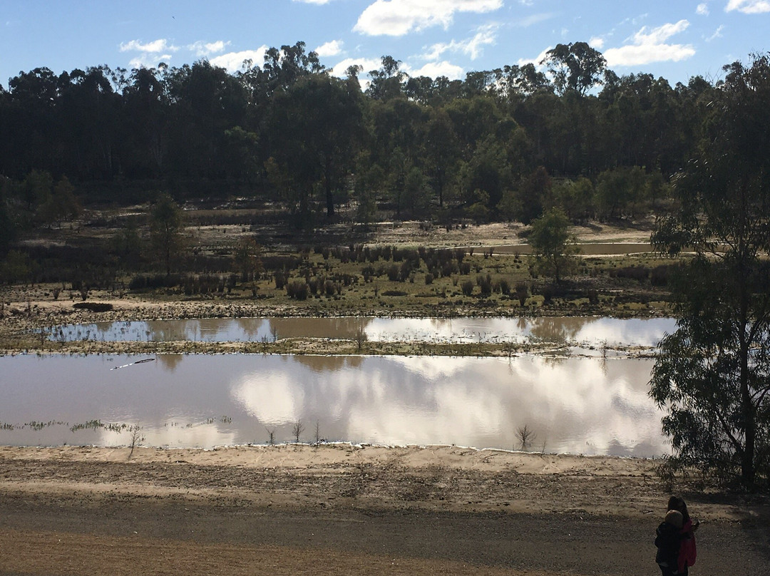 Australian Botanic Gardens Shepparton-谢珀顿必去景点