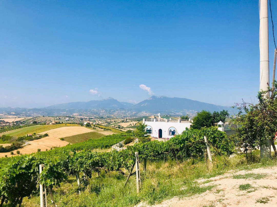 Tenuta Torretta景点图片