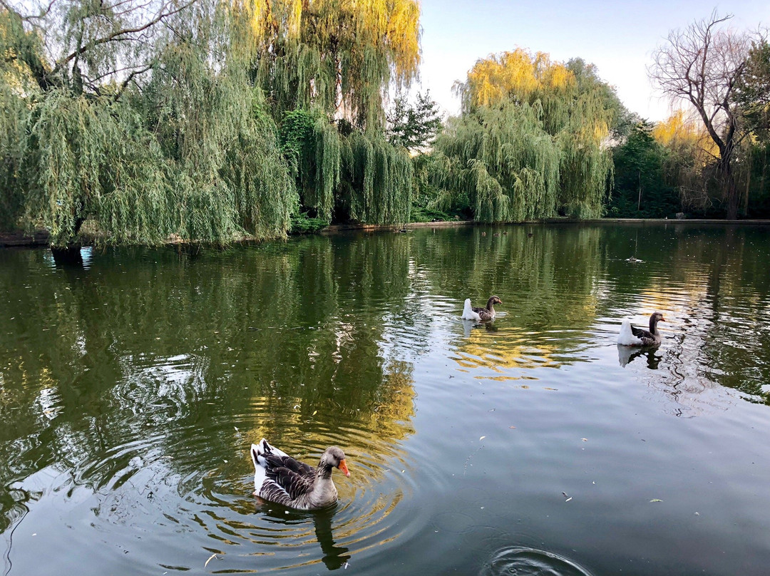 City Park of Culture and Leisure-克拉斯诺达尔必去景点