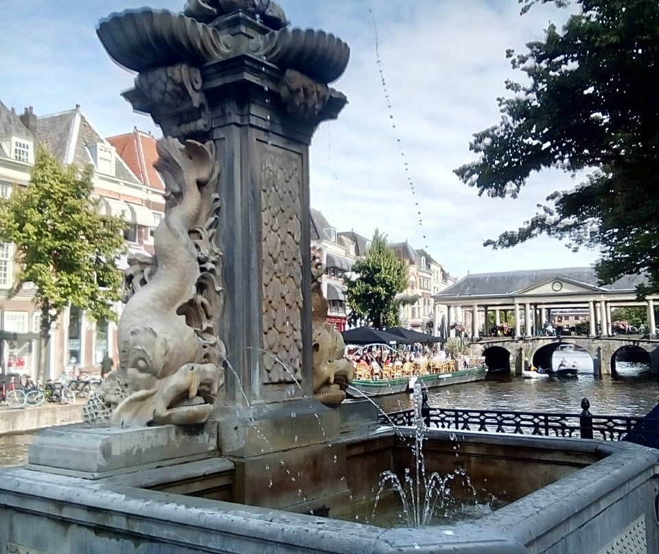 Vismarktfontein-莱顿必去景点