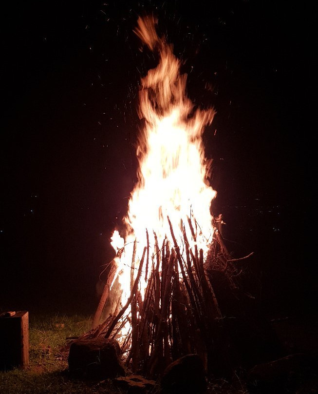 Eucaliputus Resort主图