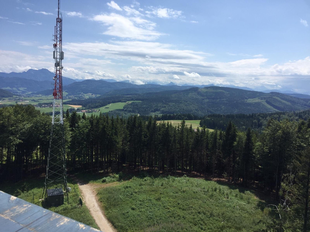 Aussichtsturm Lichtenberg-Lichtenberg必去景点