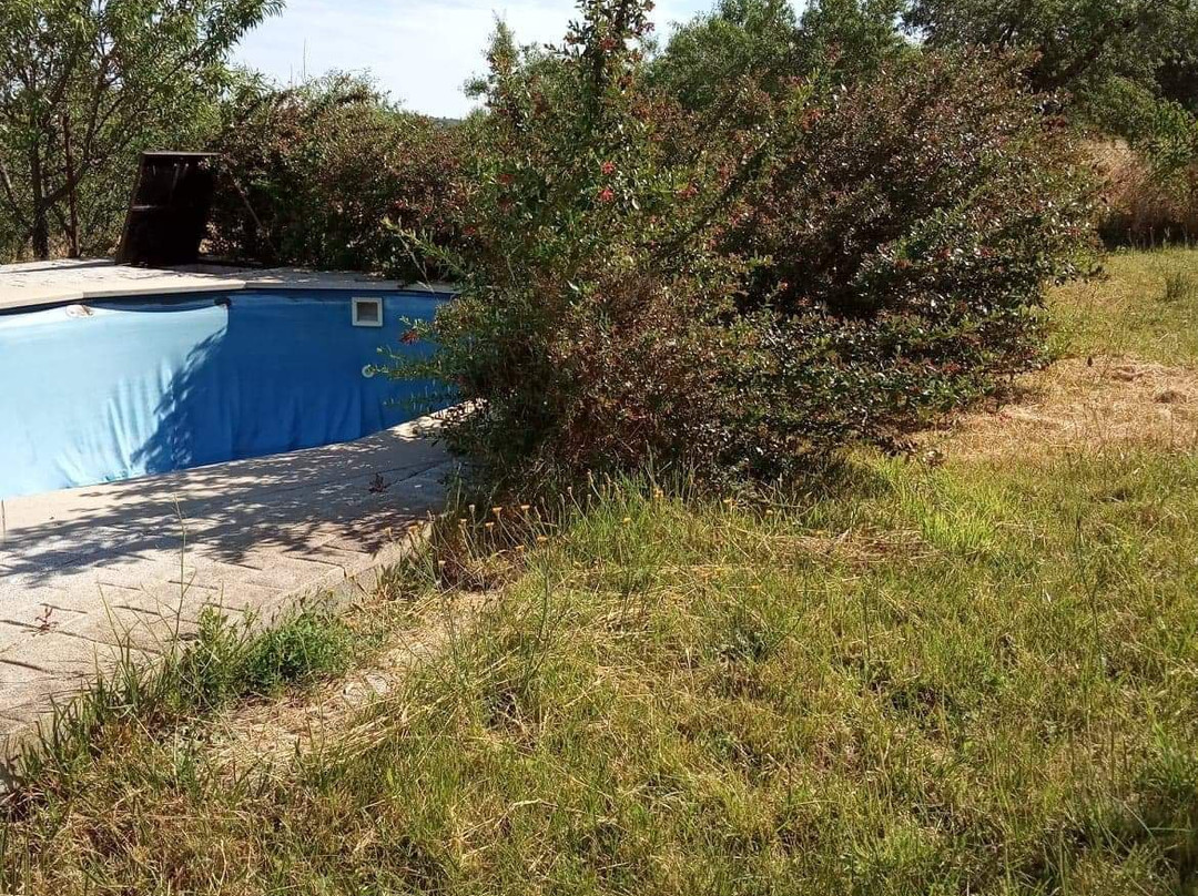 Quinta Pero Martins主图