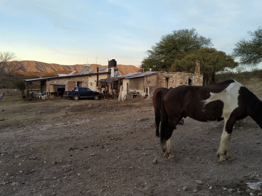 Estancia Puesto Viejo主图