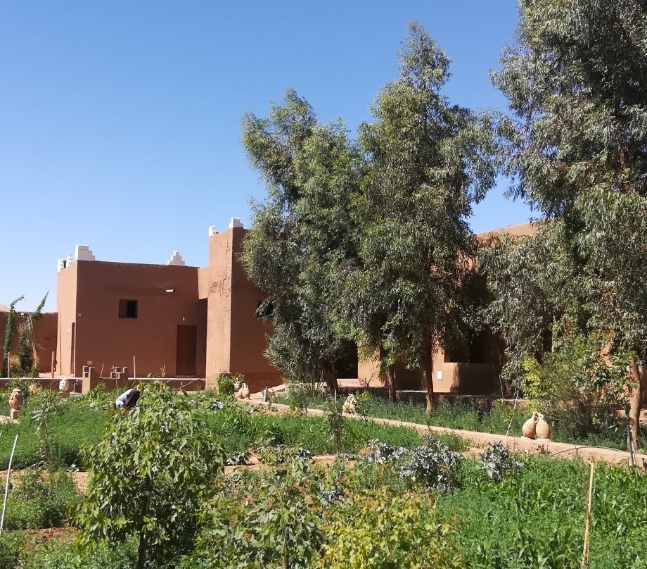 La Perle Du Sud主图