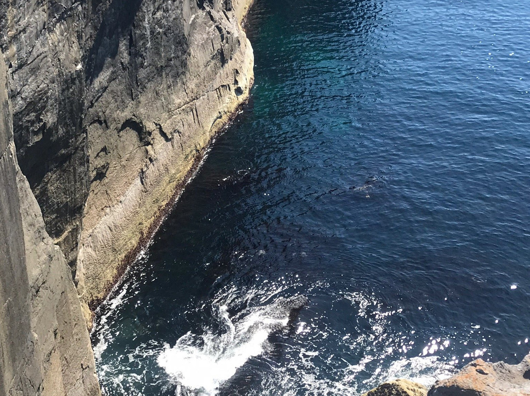 Beauty Of The Burren Walks景点图片