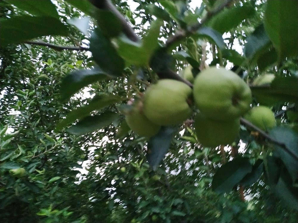 Aastha Home Stay主图