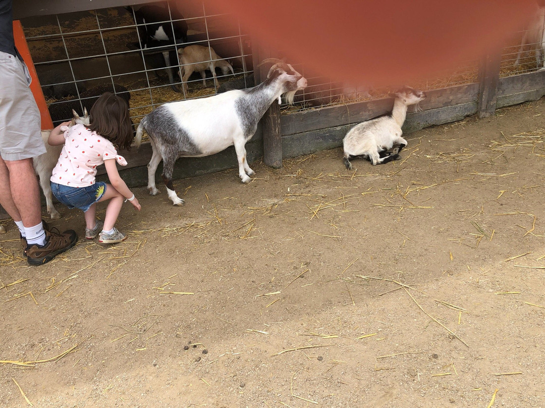 Santa's Village Amusement & Water Park-East Dundee必去景点