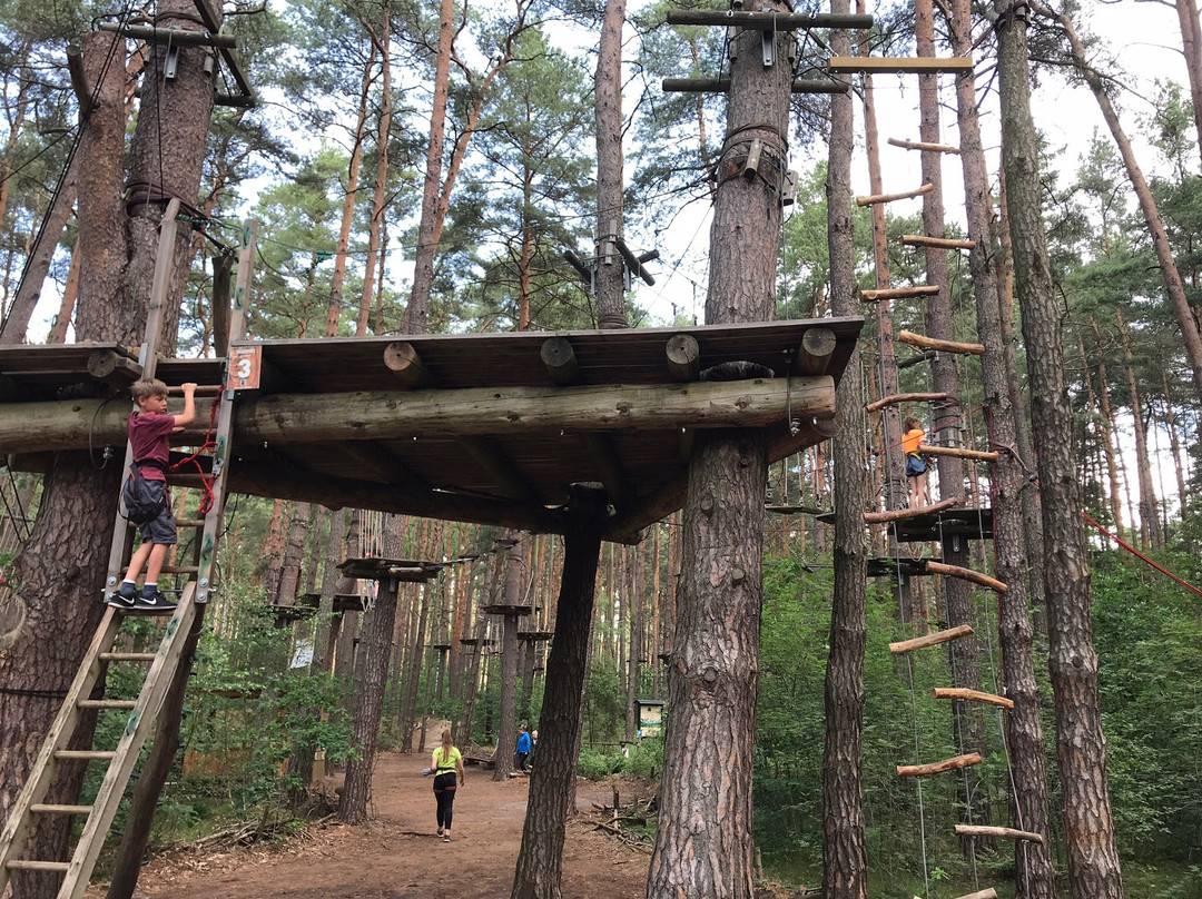 Kletterwald Schorfheide-Schorfheide必去景点