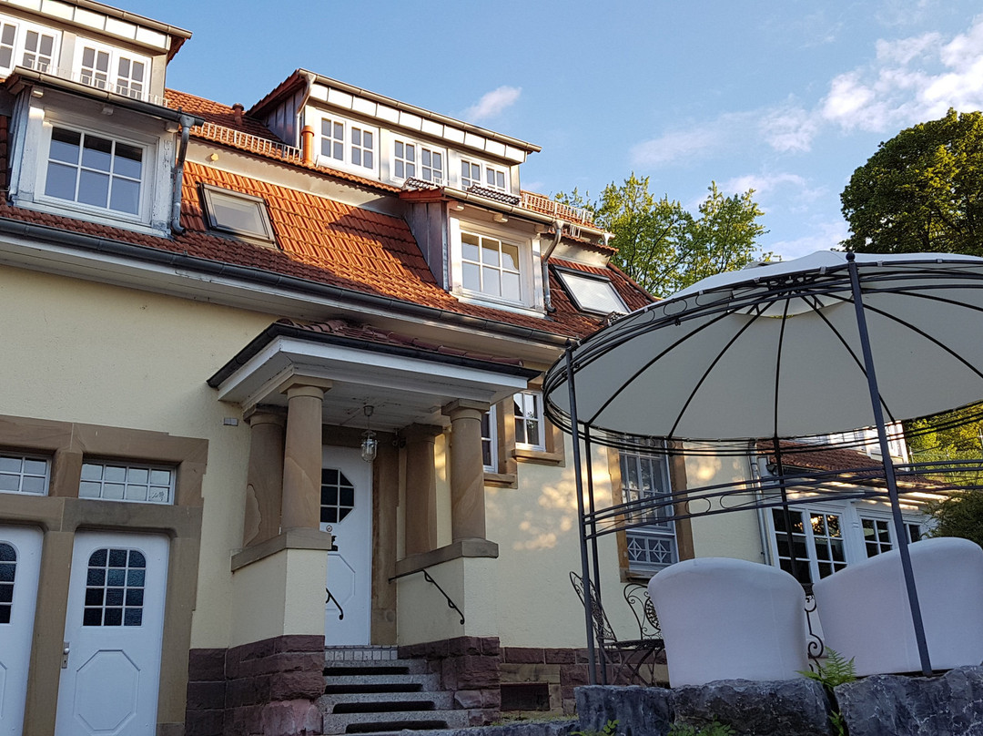 LoewenThor Hotel Hahn主图