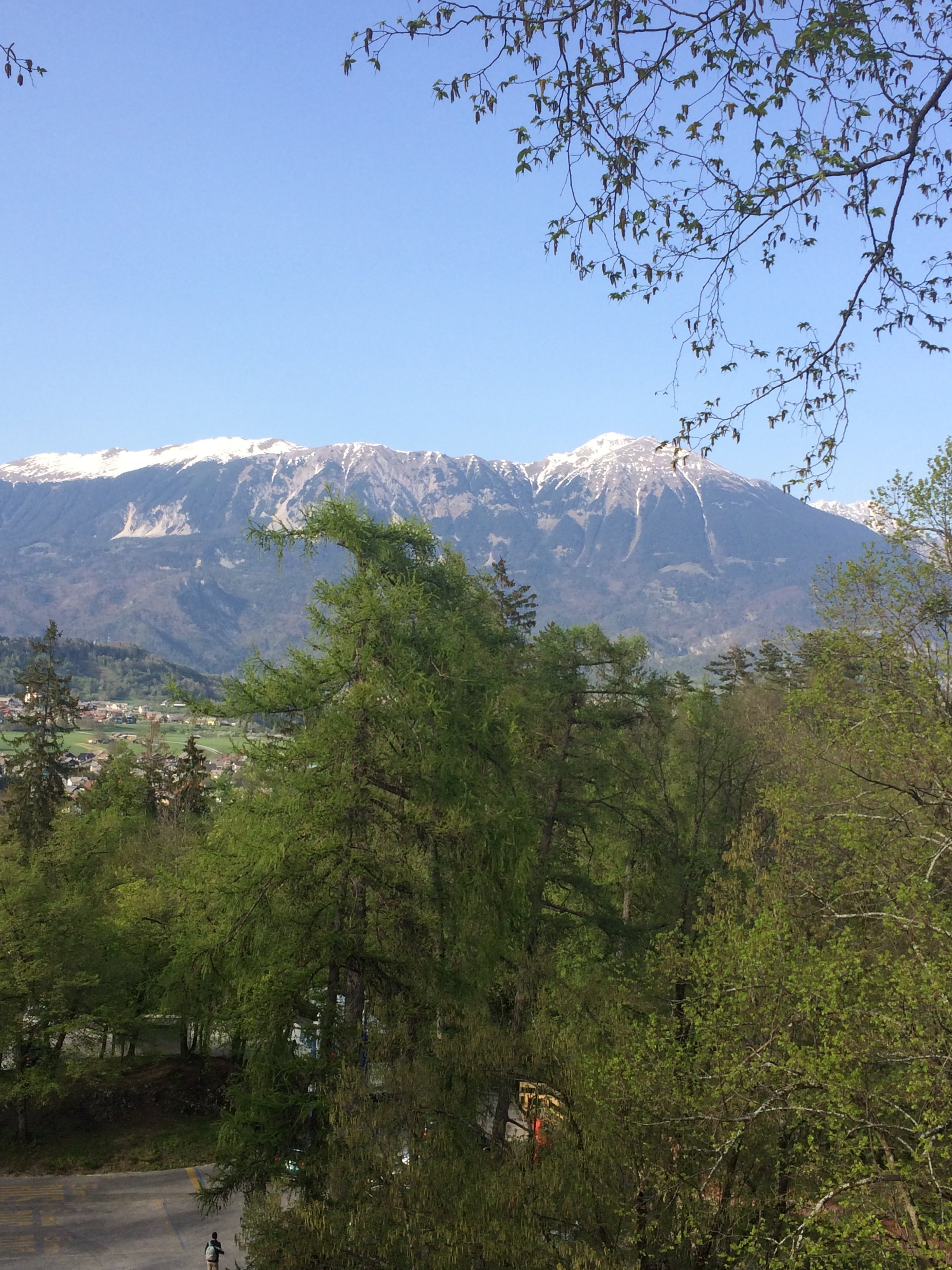 Penzion Apartmaji Preseren-官方