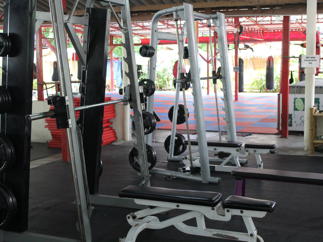 Phangan Muay Thai and Fitness Gym景点图片
