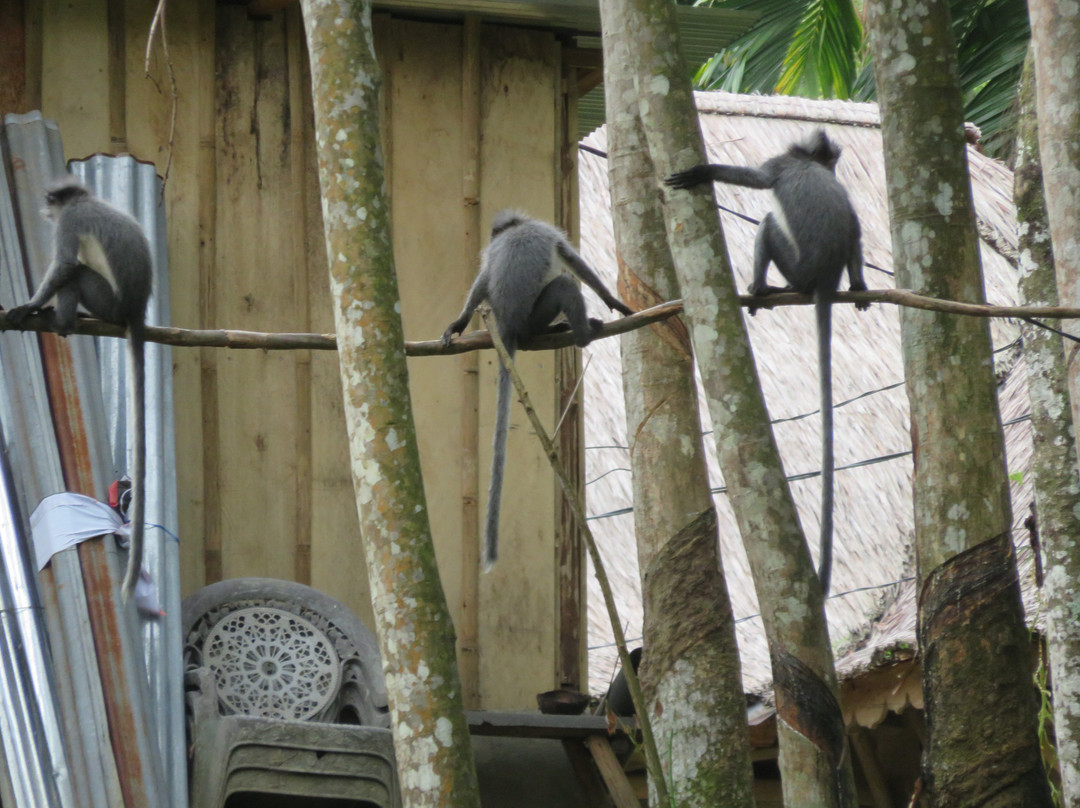 On the Rocks Bungalow & Restaurant主图